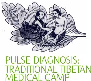 Traditional Tibetan Medical Camp: Kochi