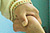9th Men-Tsee-Khang Tibetan Medical Camp (June 8-11, 2011)